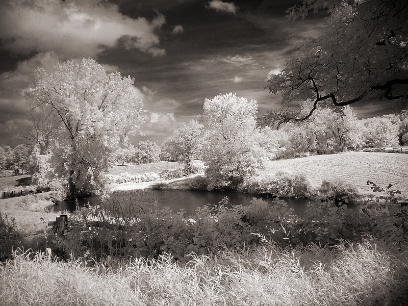New York Pond Near Wingdale, NY � Dave Hickey